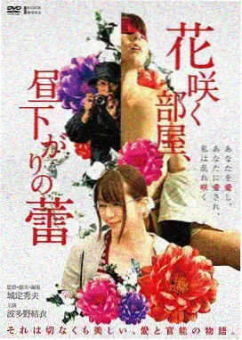 先锋影院 精灵王国